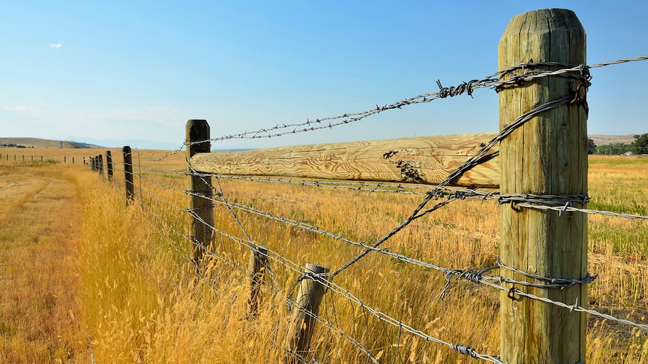 new barbed wire fence installed around a field