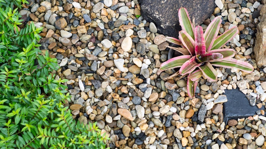 close up of pea gravel in a garden