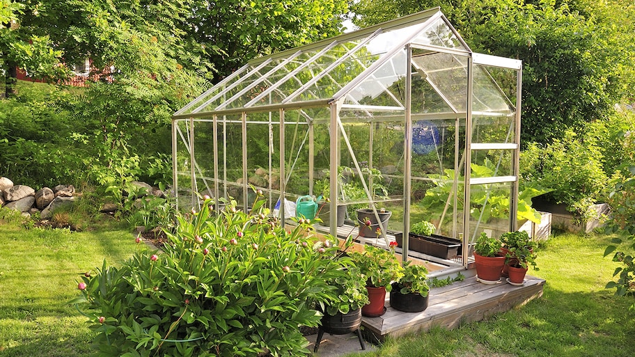 greenhouse full of plants built in backyard garden