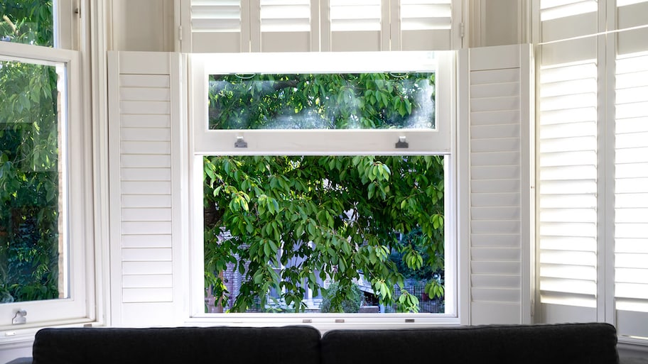 home window with shutters overlooking trees