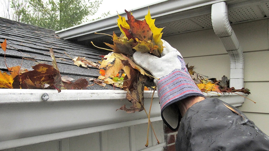 homeowner cleaning the leaves out of home gutters