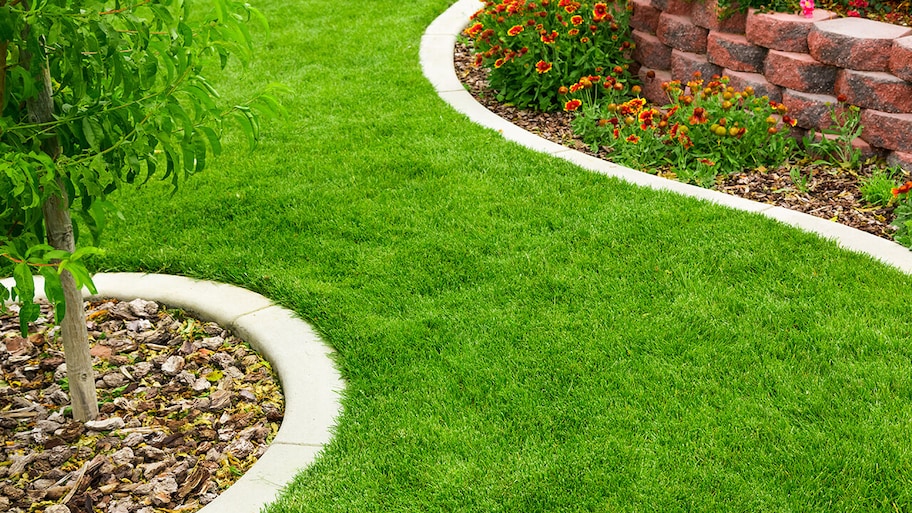 garden plants with landscape curbing