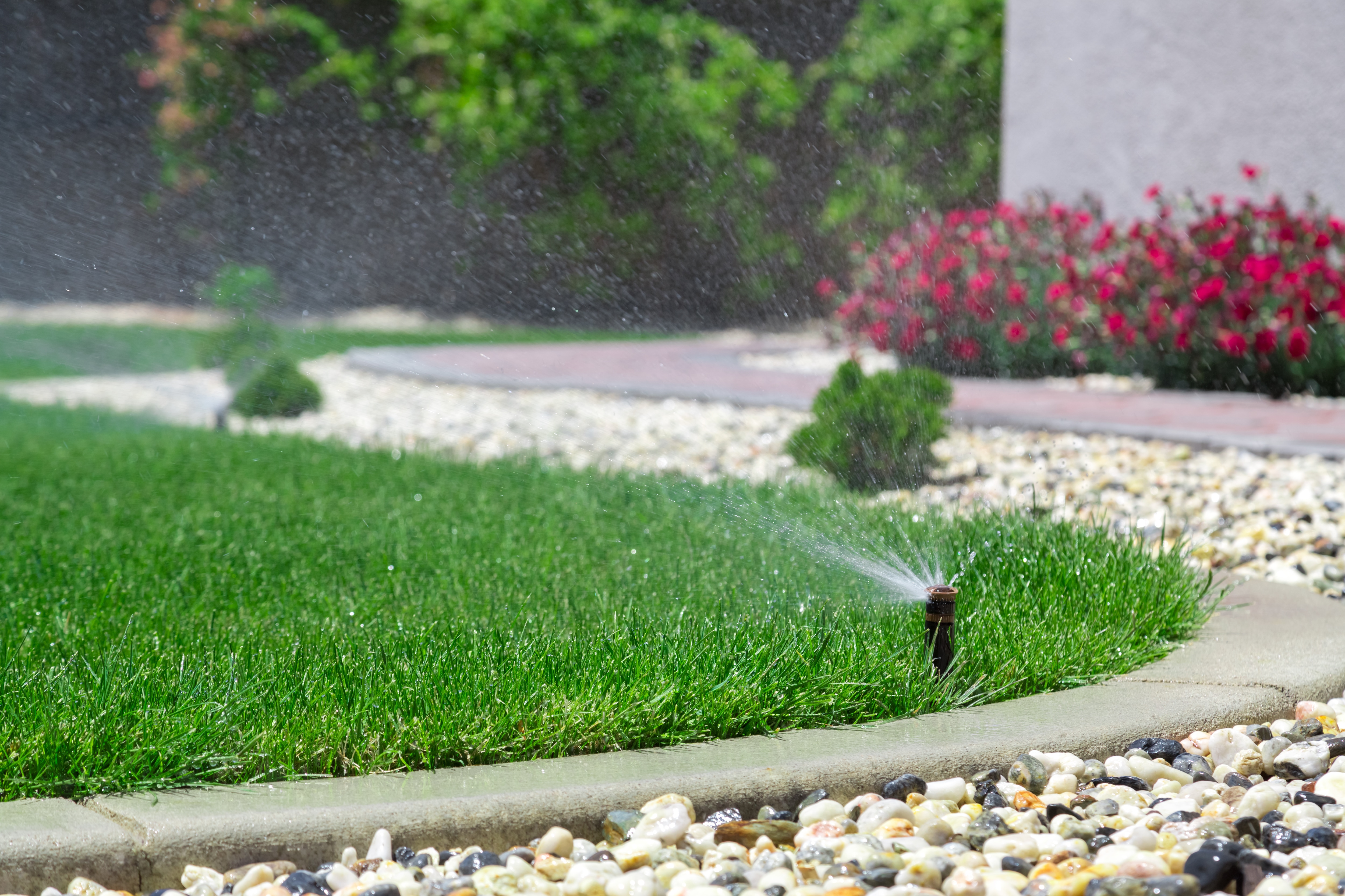 lawn sprinkler system installed in yard to water grass