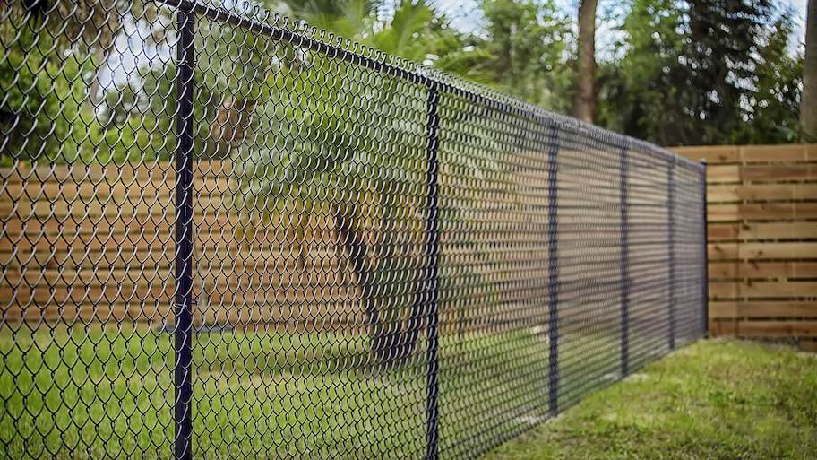 black chain link fence between two backyards