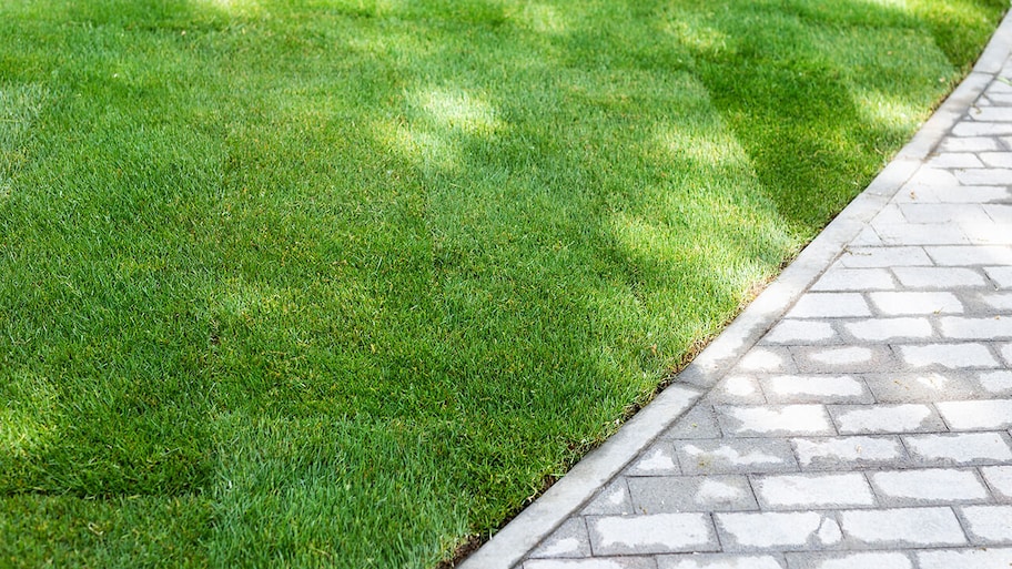 grass lawn that has been recently installed