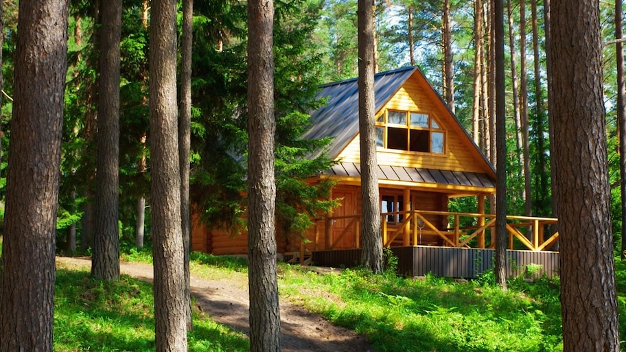 A rustic wooden cabin in the woods