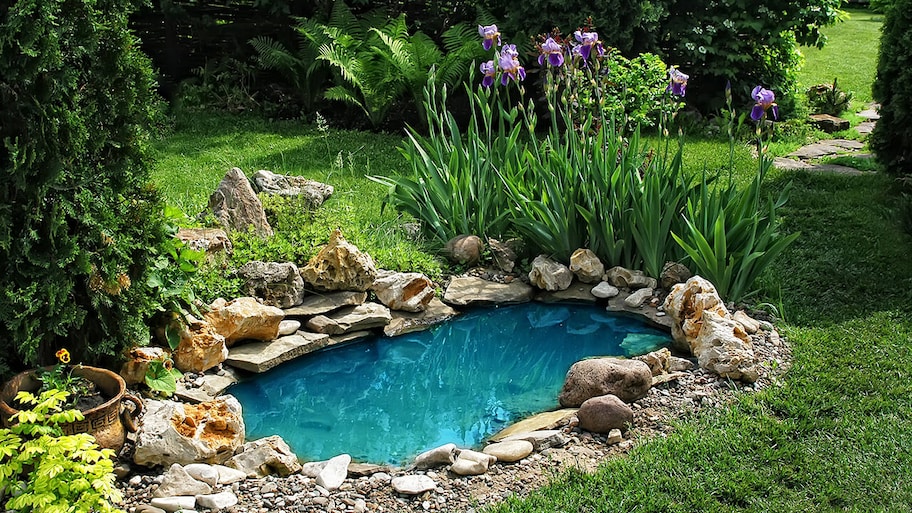 small pond in a backyard garden with landscaping