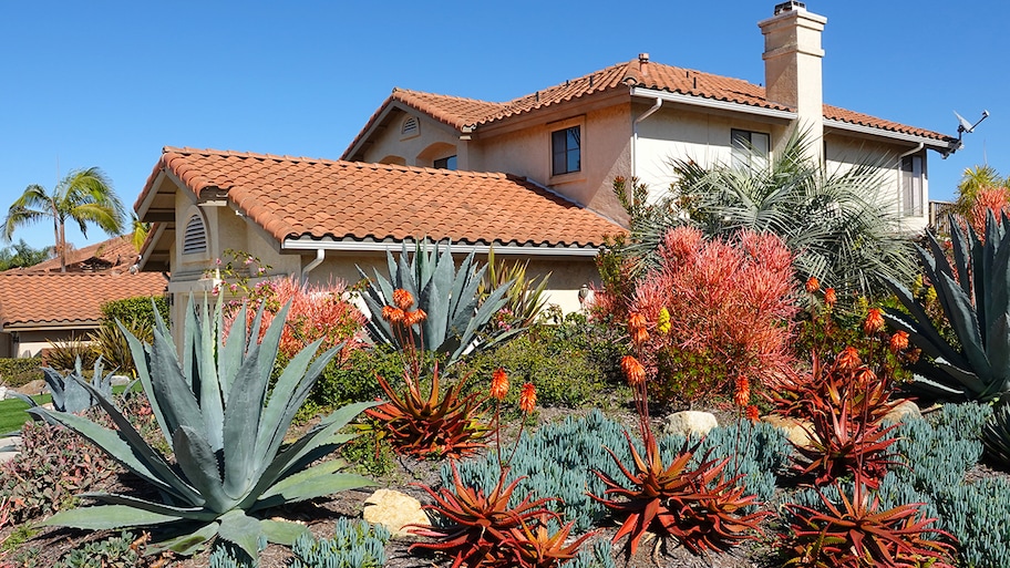 Xeriscape landscaping in front of house